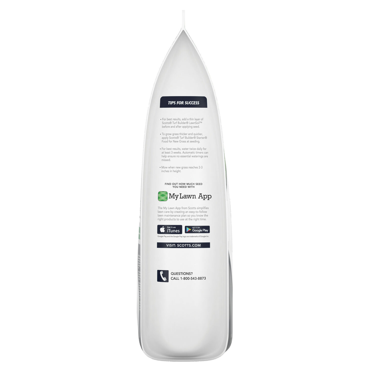 image-7