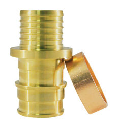 Apollo Expansion PEX / Pex A 1/2 in. PEX T X 1/2 in. D Barb Brass Transition Coupling