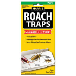 Harris Glue Trap 2 traps pk