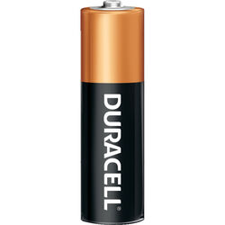 Duracell Coppertop AA Alkaline Batteries 10 pk Carded