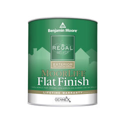 Benjamin Moore Regal Flat Tintable Base Base 2 Paint Exterior 1 qt