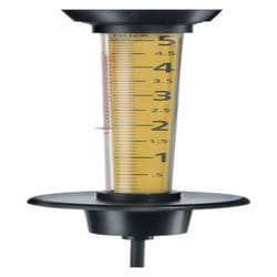 Taylor Rain Gauge & Thermometer Ground 5.3 in. W X 14.5 in. L