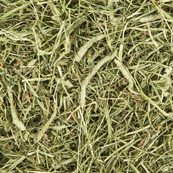 Kaytee Forti-Diet Compressed Bale Small Animals Timothy Hay 24 oz