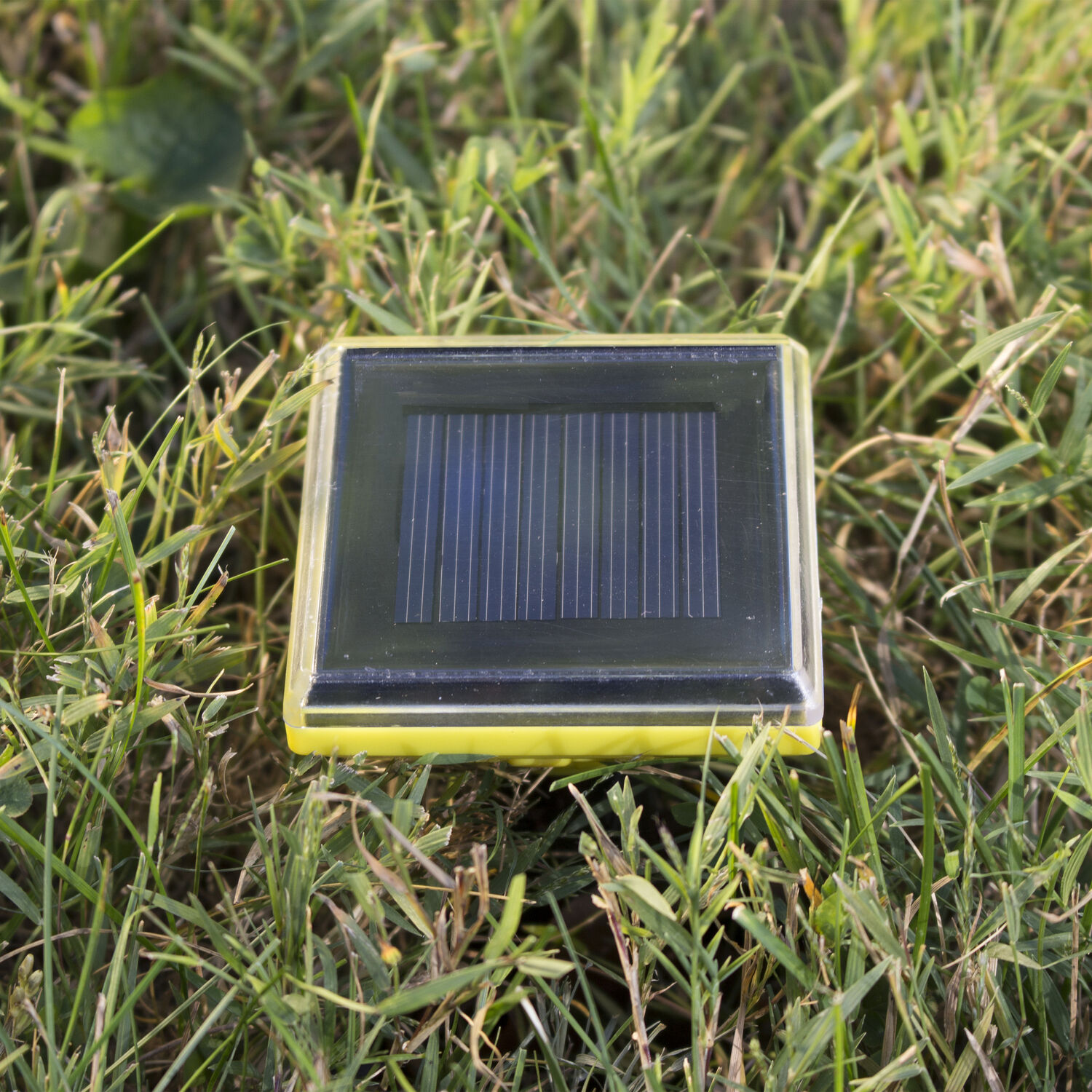 image-4