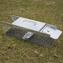 Havahart Live Catch Cage Trap For Chipmunks, Squirrels and Rats 1 pk