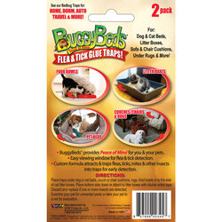 Buggy Beds Glue Trap 2 pk
