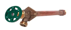 Arrowhead 1/2 in. FIP T X 3/4 in. S MIP Anti-Siphon Brass Wall Hydrant