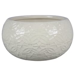 OutDoozie White Citronella Scent Candle 4.13 in. H X 8 in. D