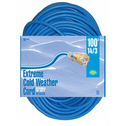 Woods Indoor or Outdoor 100 ft. L Blue Extension Cord 14/3