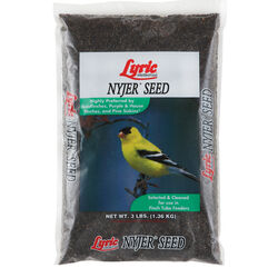 Lyric Finch Nyjer Seed Wild Bird Food 3 lb