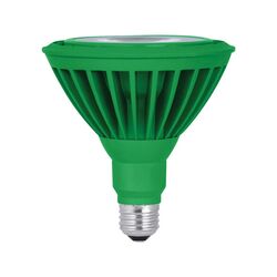 Feit Electric acre PAR38 E26 (Medium) LED Bulb Green 120 Watt Equivalence 1 pk
