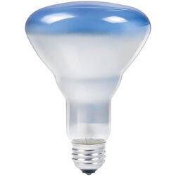Philips Agro-Lite 75 W BR30 Floodlight Incandescent Bulb E26 (Medium) Bright White 1 pk