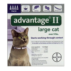 Bayer Advantage II Liquid Cat Flea Drops Imidacloprid/Pyriproxyfen 0.108 oz