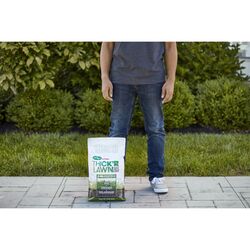 Scotts Turf Builder Thick'R Lawn Tall Fescue Grass Fertilizer, Seed & Soil Improver 12 lb