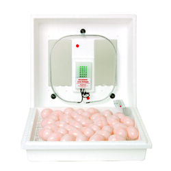 Little Giant Plastic Egg Incubator