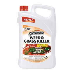Spectracide Accushot Grass & Weed Killer RTU Liquid 1.33 gal