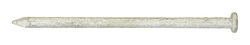 Ace 12D 3-1/4 in. Common Hot-Dipped Galvanized Steel Nail Flat 1 lb