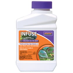 Bonide Infuse Concentrated Liquid Disease Control 16 oz