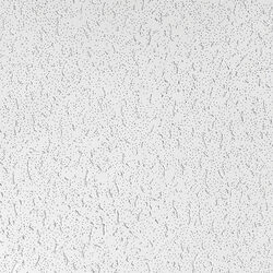 USG 280 Fifth Avenue 48 in. L X 24 in. W 0.625 in. Square Edge Ceiling Tile 1 pk