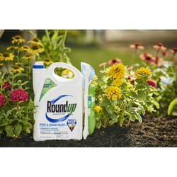 Roundup Grass & Weed Killer RTU Liquid 1.33 gal
