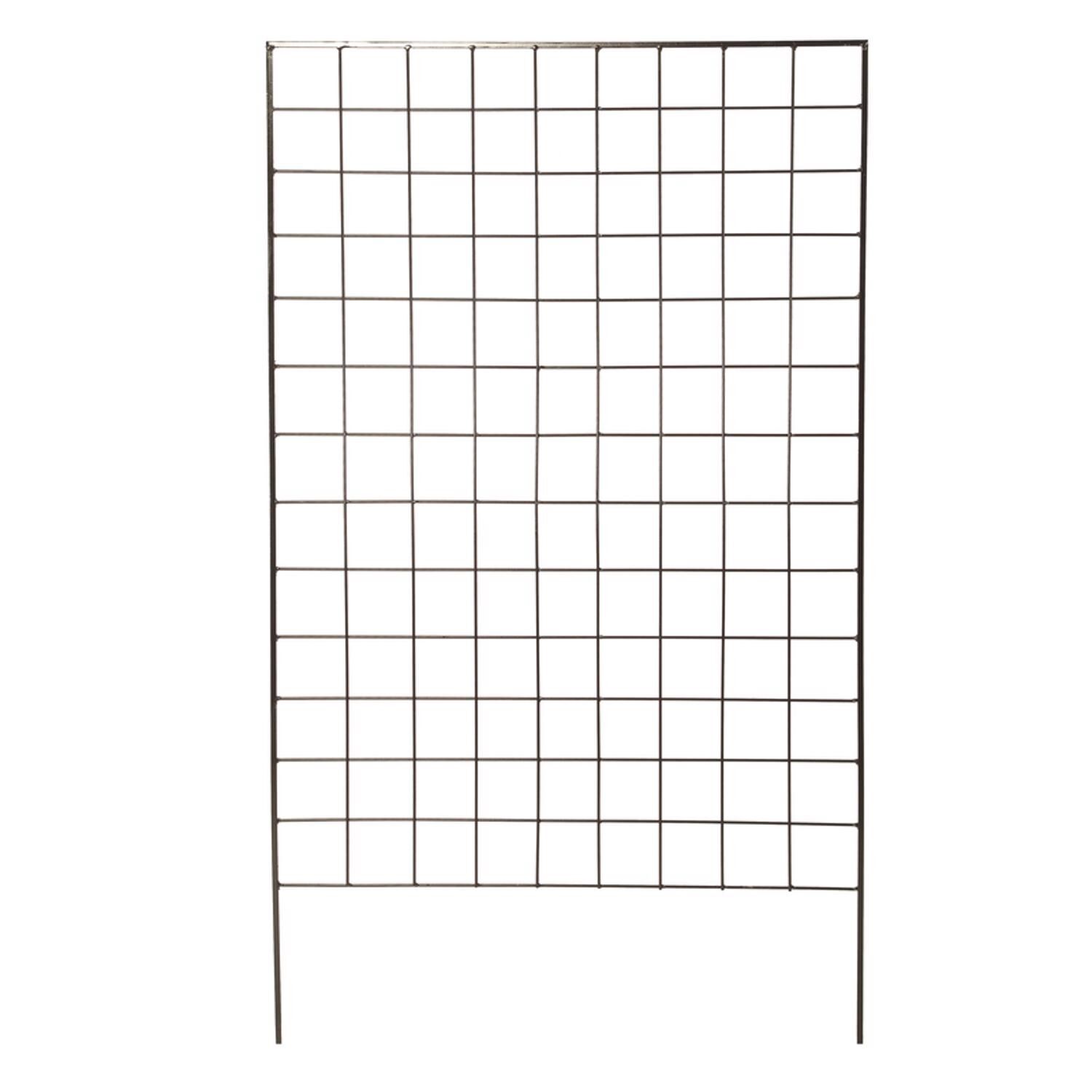 image-2