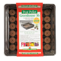 Plantation Products Greenhouse Peat Pellet Tray 1 pk