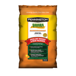 Pennington One Step Complete Bermuda Full Sun Grass Seed 5 lb