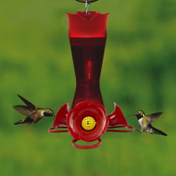 Perky-Pet Hummingbird 8 oz Plastic Nectar Feeder 4 ports