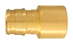 Apollo Expansion PEX / Pex A 1 in. PEX T X 1 in. D CTS Brass Female Adapter