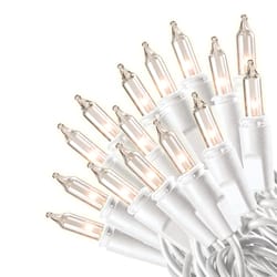 Celebrations Incandescent Mini Clear/Warm White 50 ct String Christmas Lights 12 ft.