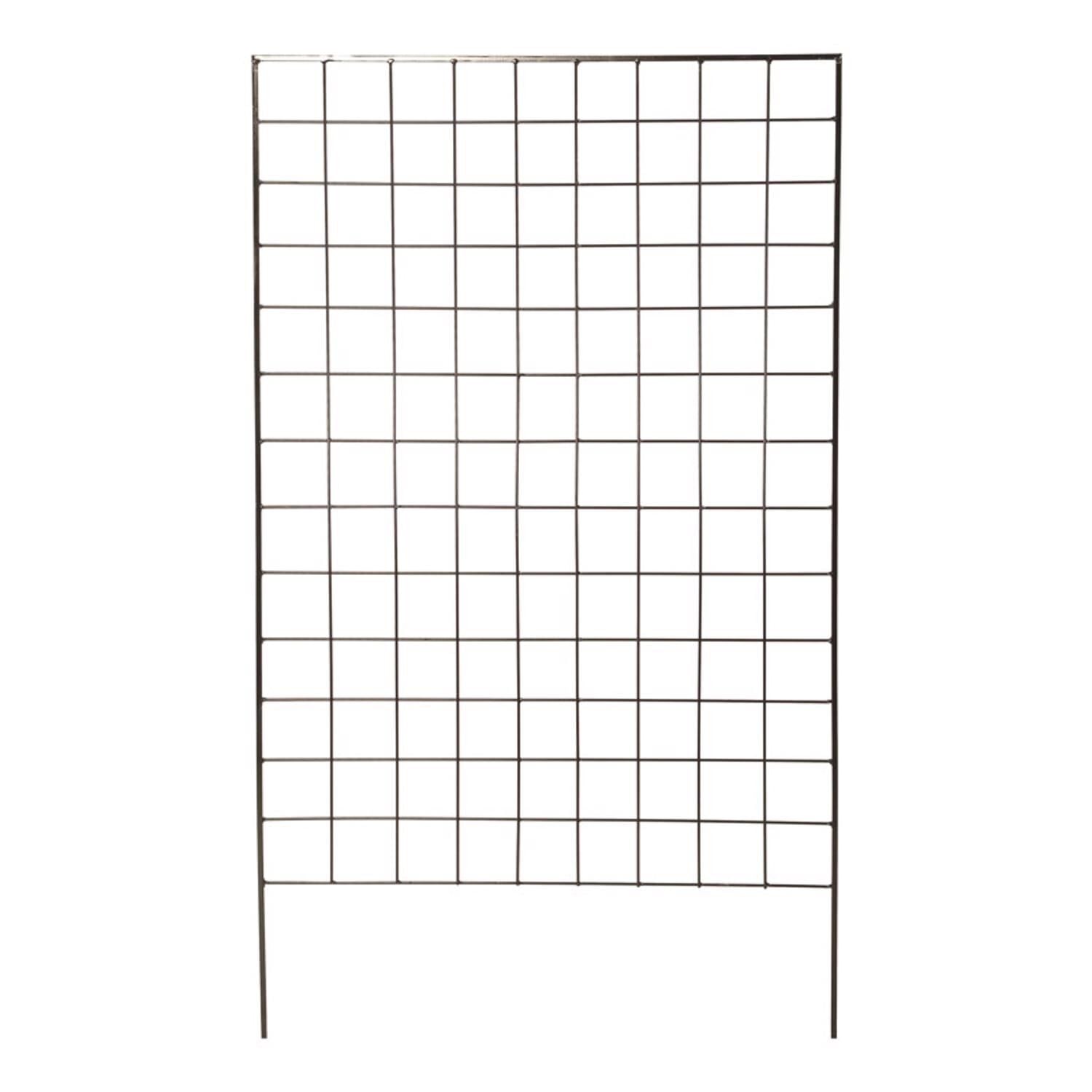 image-1