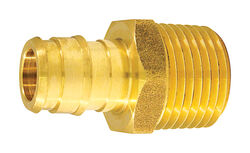 Apollo Expansion PEX / Pex A 1/2 in. PEX T X 1/2 in. D MPT Brass Male Adapter