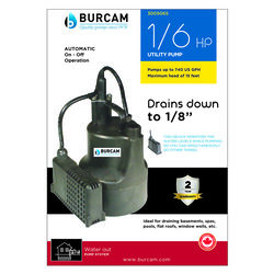 Burcam 1/6 HP 740 gph Thermoplastic Electronic Switch AC Utility Pump