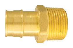 Apollo Expansion PEX / Pex A 1 in. PEX T X 1 in. D MPT Brass Male Adapter