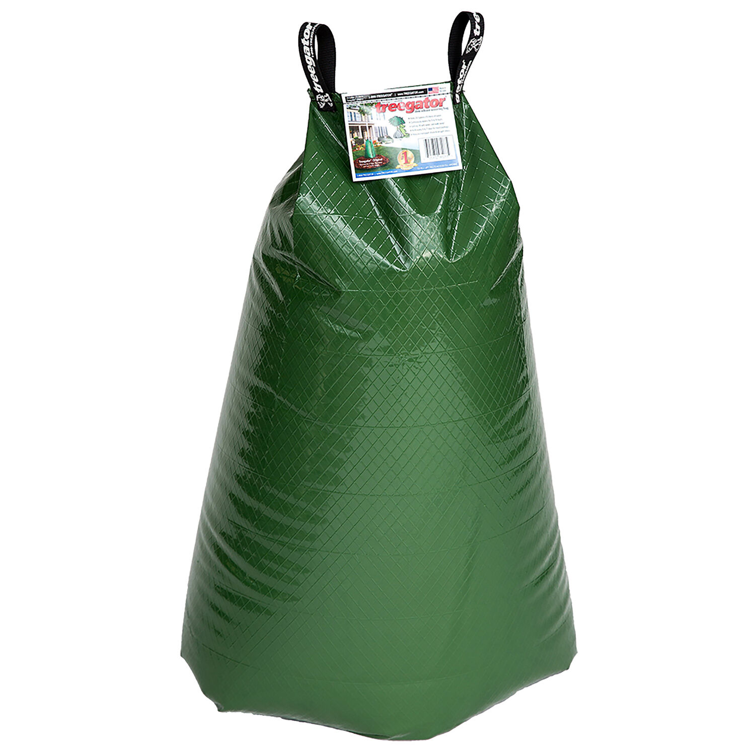 image-1