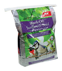 Ace Black Oil Sunflower Songbird Black Oil Sunflower Seed Black Oil Sunflower Wild Bird Food 40 lb