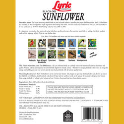 Lyric Assorted Species Black Oil Sunflower Seed Wild Bird Food 5 lb