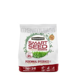 Pennington Smart Seed Perennial Ryegrass Sun/Shade Grass Seed 3 lb