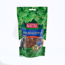 Kaytee Mealworms Bluebird Dried Mealworm Mealworms 3.5 oz