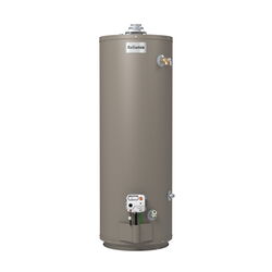 Reliance 30 gal 35500 BTU Natural Gas/Propane Mobile Home Water Heater