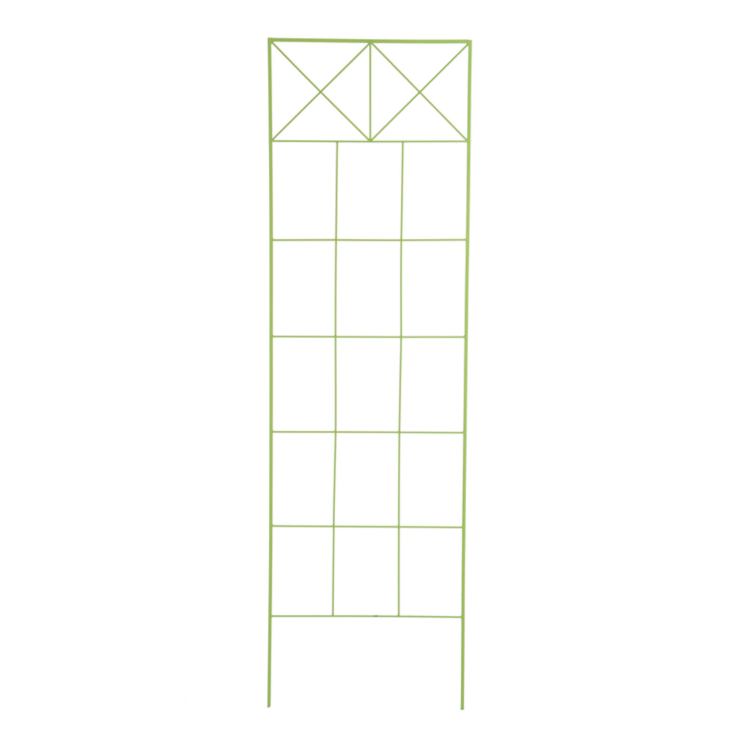 image-2