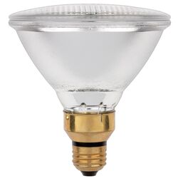 Westinghouse Eco 60 W PAR38 Floodlight Halogen Bulb 1,070 lm 1 pk