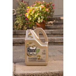 Roundup Grass & Weed Killer RTU Liquid 1.25 gal