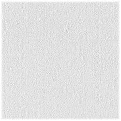 USG Sheetrock Brand Non-Directional 24 in. L X 24 in. W 0.5 in. Square Edge Ceiling Panel 1 pk