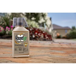 Roundup Grass & Weed Killer Concentrate 32 oz