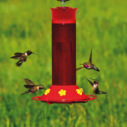 Perky-Pet Hummingbird 30 oz Plastic Nectar Feeder 6 ports