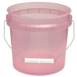 Leaktite Red 1 gal Bucket