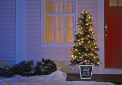 Greenfields 4-1/2 ft. Slim LED 100 ct Whitehorse Berry Entrance Tree