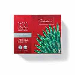 Celebrations Incandescent Incandescent Mini Green 100 ct String Christmas Lights 20.625 ft.