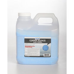 Crystal Blue Algae Control 240 oz